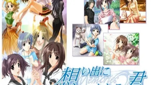 秋之回忆3（想君）怎么少走弯路？全结局触发、好感度速刷、隐藏线避坑全解析