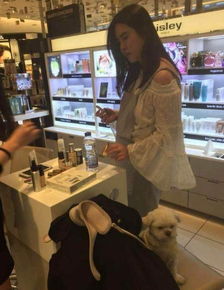 王祖贤晒新年Vlog：加拿大超市拍片办年货毫无架子