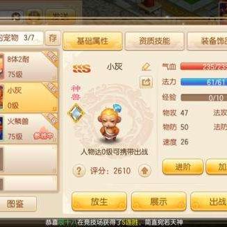 梦幻诛仙启灵类型全解析，从+1到+12低成本稳成实战指南