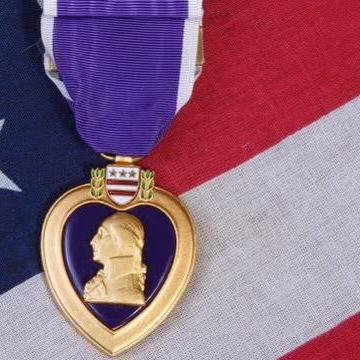 荣誉勋章双版本终极指南，硬核无伤通关+全收集+绝密隐藏剧情全解析