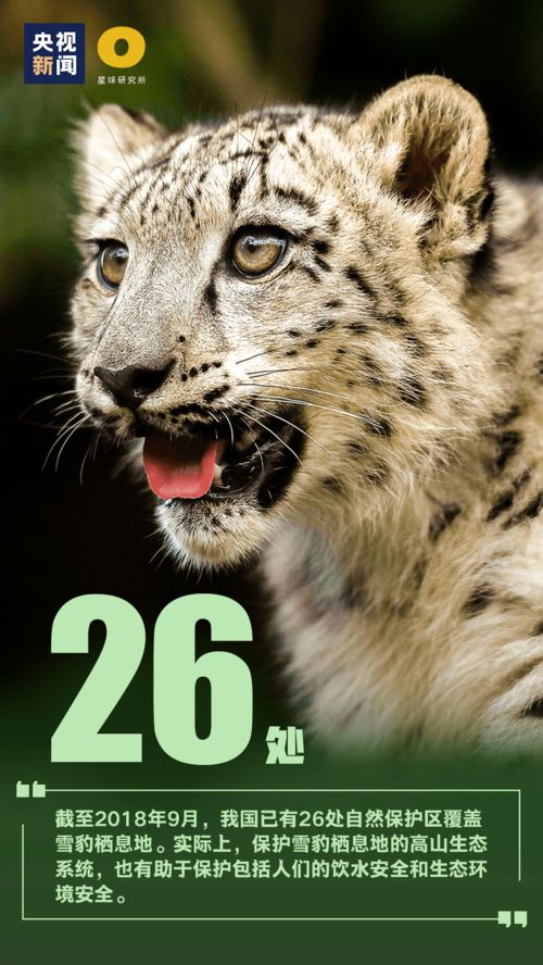 "孩神"认可！狗屁王5雪豹鼠标被称“颠覆性”神器