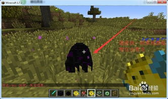 想孵我的世界龙蛋？看这篇详细孵化方法教程