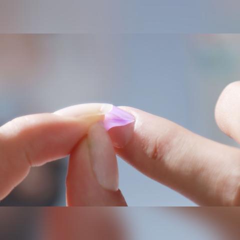 乱涂彩世界手游在哪预约 乱涂彩世界官网预约入口