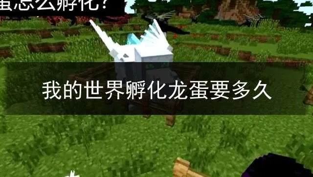 我的世界龙蛋怎么孵化 龙蛋孵化方法教程