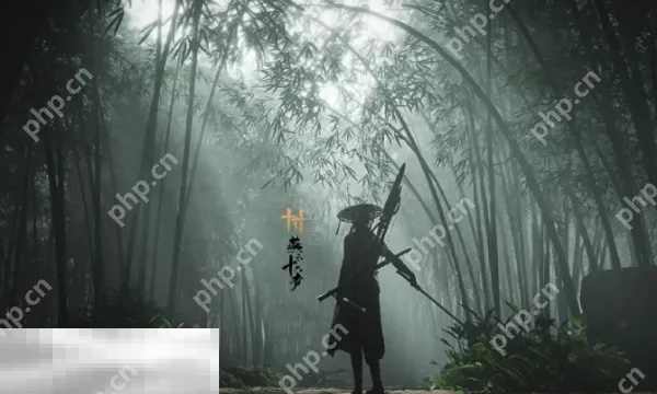 燕云十六声苏新绿怎么结交 苏新绿对话攻略