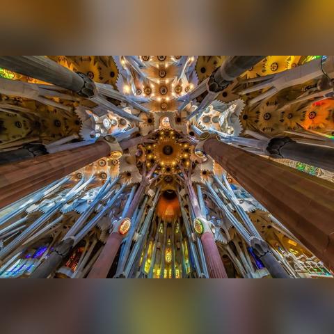 夜空精灵分哪几类？2026独家类型解析+捕捉养成实战适配全指南