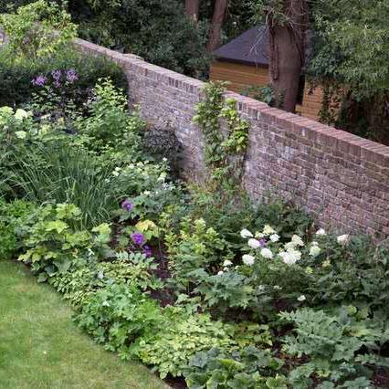 植物大战僵尸中文版，从新手到通关大神进阶指南？解锁隐藏关卡+专属植物布局技巧