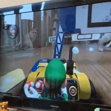 日本开发者呼吁玩家不要借用樱井政博的言论攻击他人