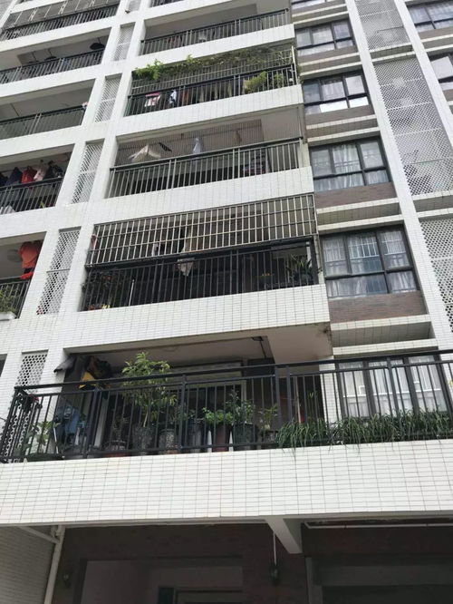 燕云十六声楼宇苍怎么结交 楼宇苍对话攻略