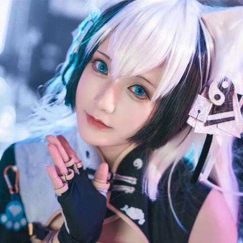 猫之城官网全维度攻略，福利速领、角色档案查档、活动日历全掌握