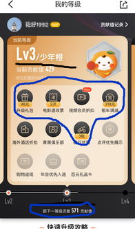 宏图三胞会员网站怎么玩才赚？解锁隐藏权益、数码定制等独家硬核玩法