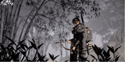 燕云十六声柳依依怎么结交 柳依依对话攻略