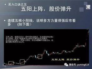 燕云十六声纪月华怎么结交 纪月华对话攻略