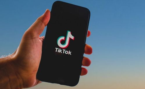 TikTok用AI把游戏女主改成性感大雷美女 引开发商暴怒