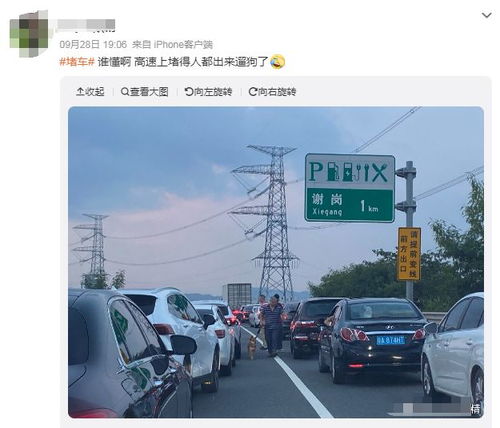 第一批返程的人已经堵在高速上了！网友：又有聪明人预判了你的预判