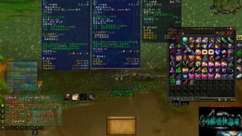 2026魔法龙虾盒终极攻略，如何开出稀有坐骑？获取渠道&开盒玄学全揭秘