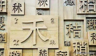 独立发行商Lyrical与The Chinese Room达成发行协议