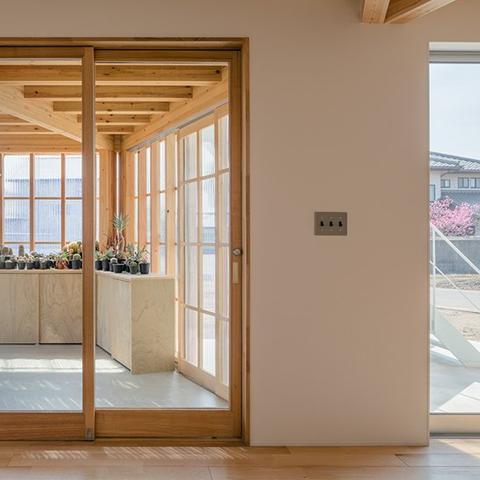 日本"透明内裤"引热议！几乎全透引调侃