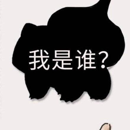 超100只新宝可梦！爆料称《宝可梦:风/浪》11月发售