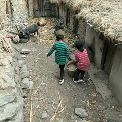 DOTA1刚背猪怎么出装胜率最高？对线到后期全场景适配指南