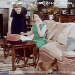 《三男一狗》被删任务曝光!老年人"私密派对"