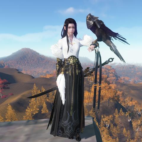 天涯明月刀第一男女主类型深度解析，适配剧情/养成/竞技党全攻略