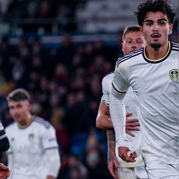 虐杀原形2卡类型精准拆解，从掉帧到闪退，2026实测适配全方案