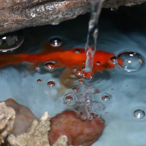 2026年DNF论坛核心需求全拆解，职业平衡、搬砖优化、团本避坑实战指南