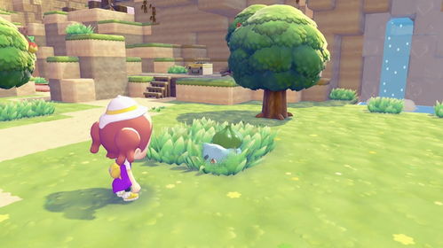 《宝可梦Pokopia》容量大小曝光！实体下载卡泄露