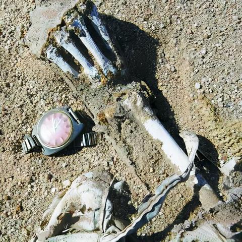 《辐射4》周年纪念版Switch 2发售预告片公布！