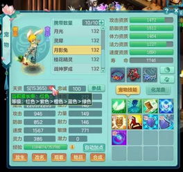 2026独家拆解，神武4宝宝技能类型全梳理，精准匹配日常/PK/地煞核心需求