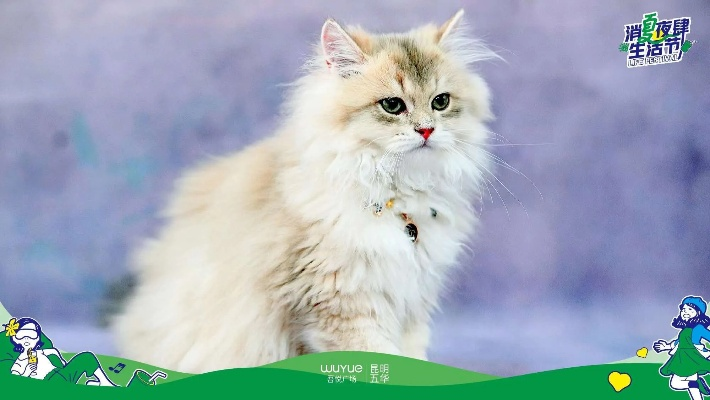 《喵喵的结合》向中国玩家征集猫名 玩家狂刷哈基米