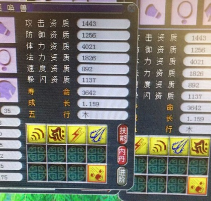 锦毛貂精全维度玩法指南，2026捕捉秘籍、炼妖打书套路及实战适配解析