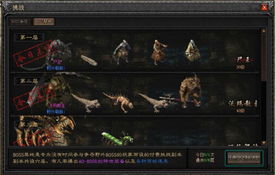 2026孔雀王MMORPG硬核指南，职业开荒、隐藏BOSS、怀旧服搬砖核心玩法全解锁