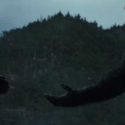 恐怖黎明十周年之际，最终资料片确认2026年发售