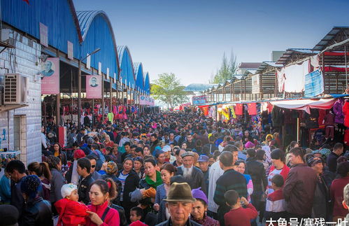 鲜有人知的食物大战4大类型拆解，新手快速上分/入坑全指南