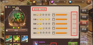 17173魔力宝贝怀旧服，练级速通、宠物养成、职业搭配全攻略，老玩家回归避坑指南