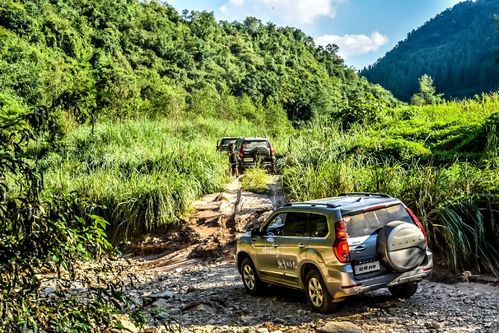 云南车友会怎么选？从越野硬核到咖啡慢驾，6类圈层精准匹配你的需求