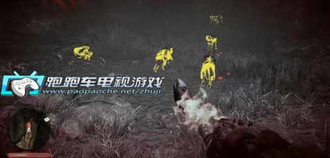 3天通关孤岛惊魂，原始杀戮？驯神宠、升部落、狩猎的实战全攻略