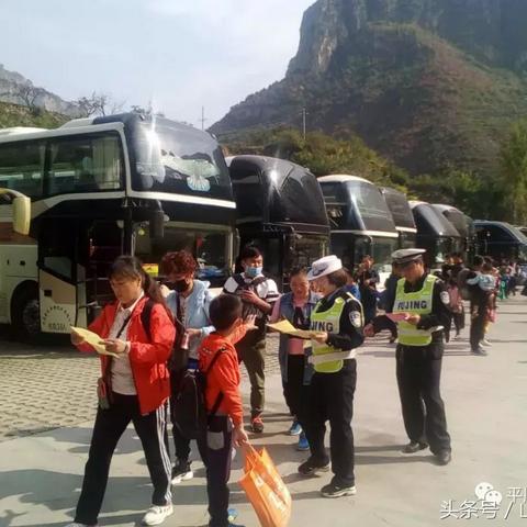 节后返家价值几万乌龟全被煮 男子回应：很苦恼