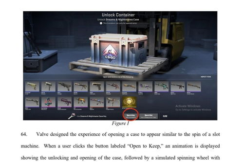 纽约起诉CS2等涉赌博 意外曝光法院用盗版Windows