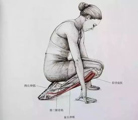 将微胖还给真正胖的人 聚焦练腿姿势的动态图