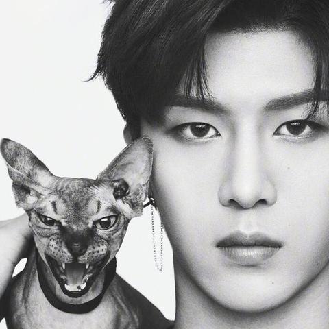 女子花10万做折角腰整形 醒来后浑身血水