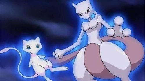 《宝可梦风波》御三家曝光!网友吵翻还没出就分成三派