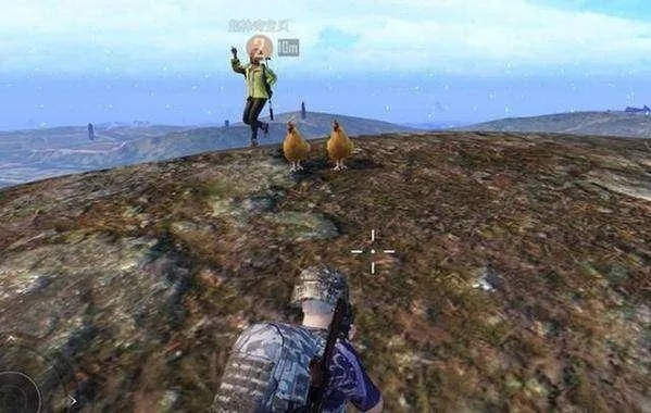 搜打撤新的大山？棒鸡新游开测：开服火爆！