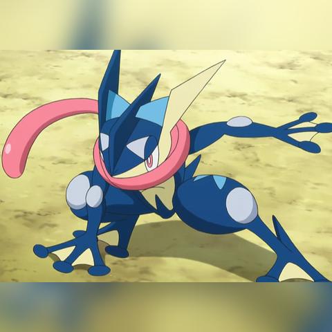 《宝可梦风/波》正式公布！全新御三家亮相