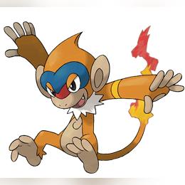 《宝可梦风波》御三家曝光!网友吵翻还没出就分成三派