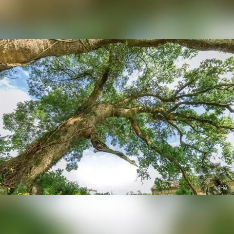 西湖停车30元一小时被吐槽 当地导游：这价都10年了