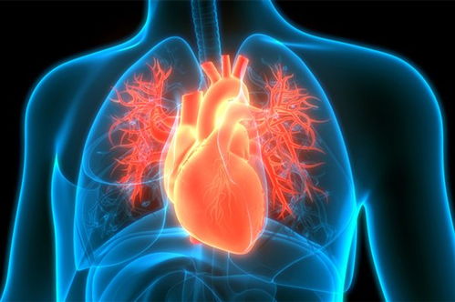 病死率第1的老年病正逼近年轻人:这些因素成隐形推手