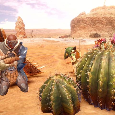 《怪物猎人：荒野》一周年纪念！特别任务和活动公布